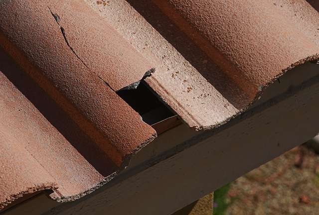 その他メニュー