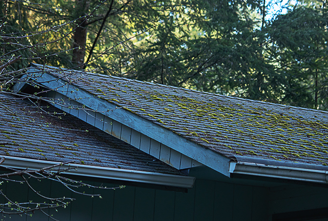 その他メニュー